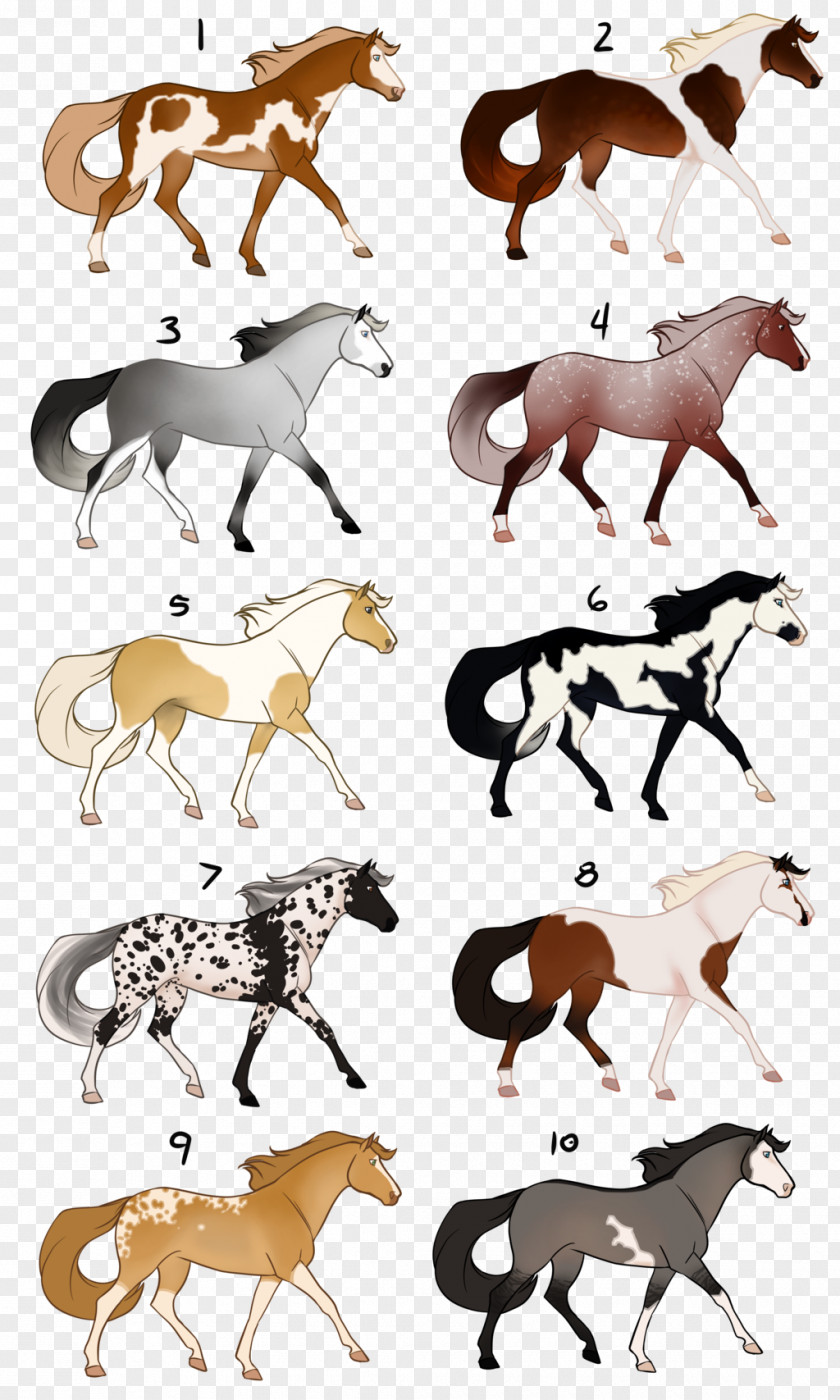 Mustang Bridle Pack Animal Clip Art PNG