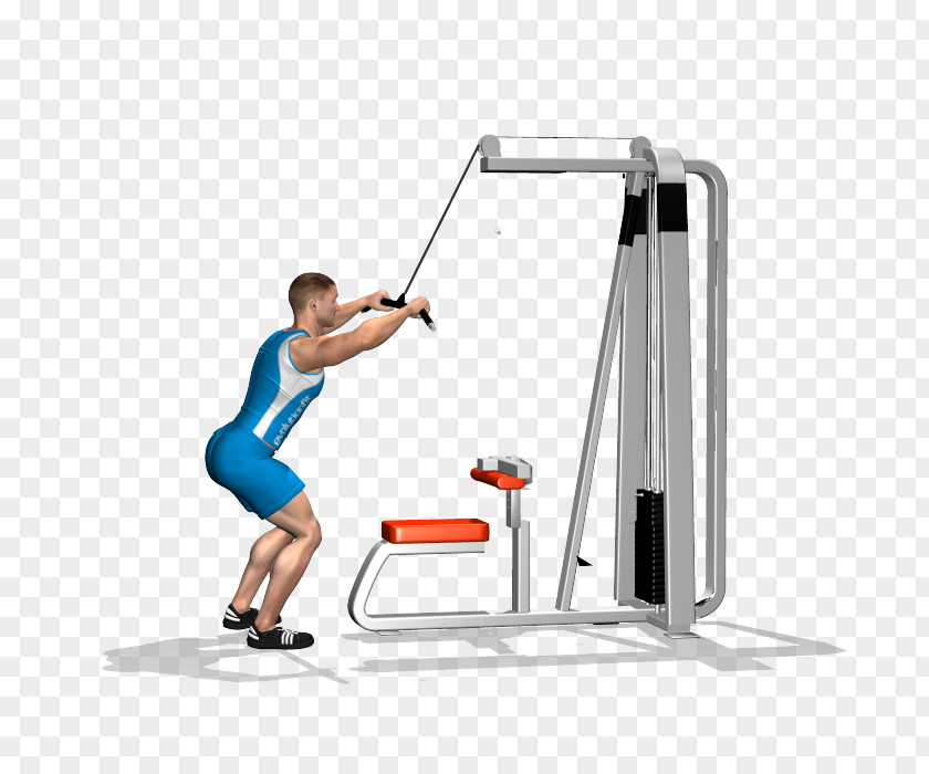 Shoulder Physical Fitness Pulldown Exercise Overhead Press PNG