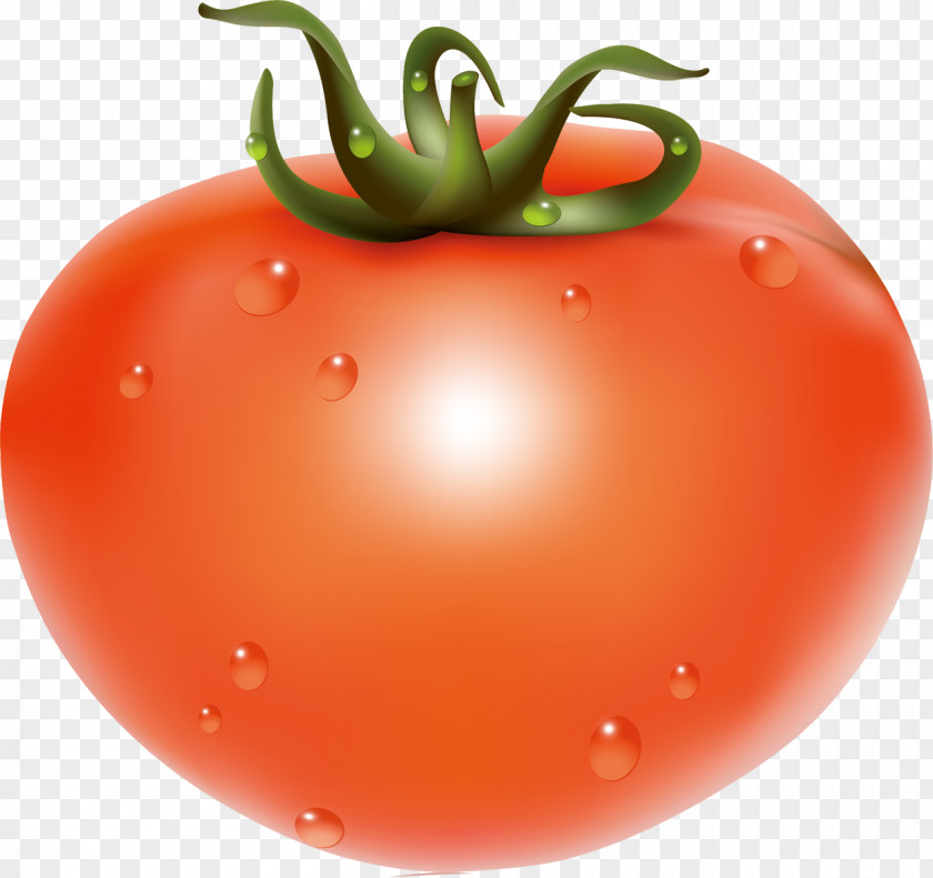 Vector Tomato Cherry Fruit Food Vegetable PNG