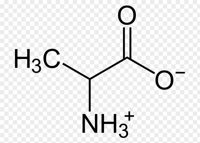 Zwitterion β-Alanine Amino Acid Alanine Transaminase PNG