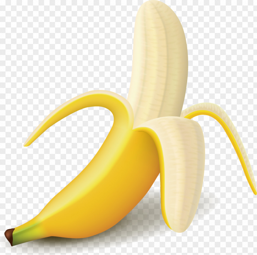 Banana Fruit Icon PNG