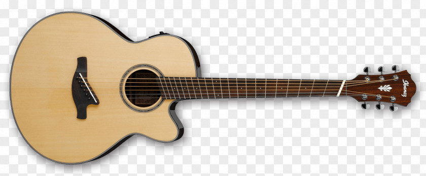 Bass Guitar Acoustic Acoustic-electric Musical Instruments PNG