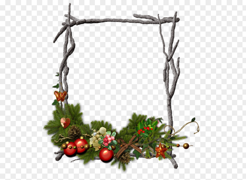 Christmas Tree Branches Frame Ornament Twig Picture PNG