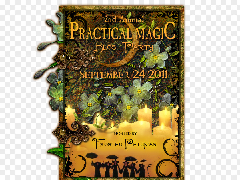 Faerie Practical Magic Film Criticism Witchcraft My Parties PNG
