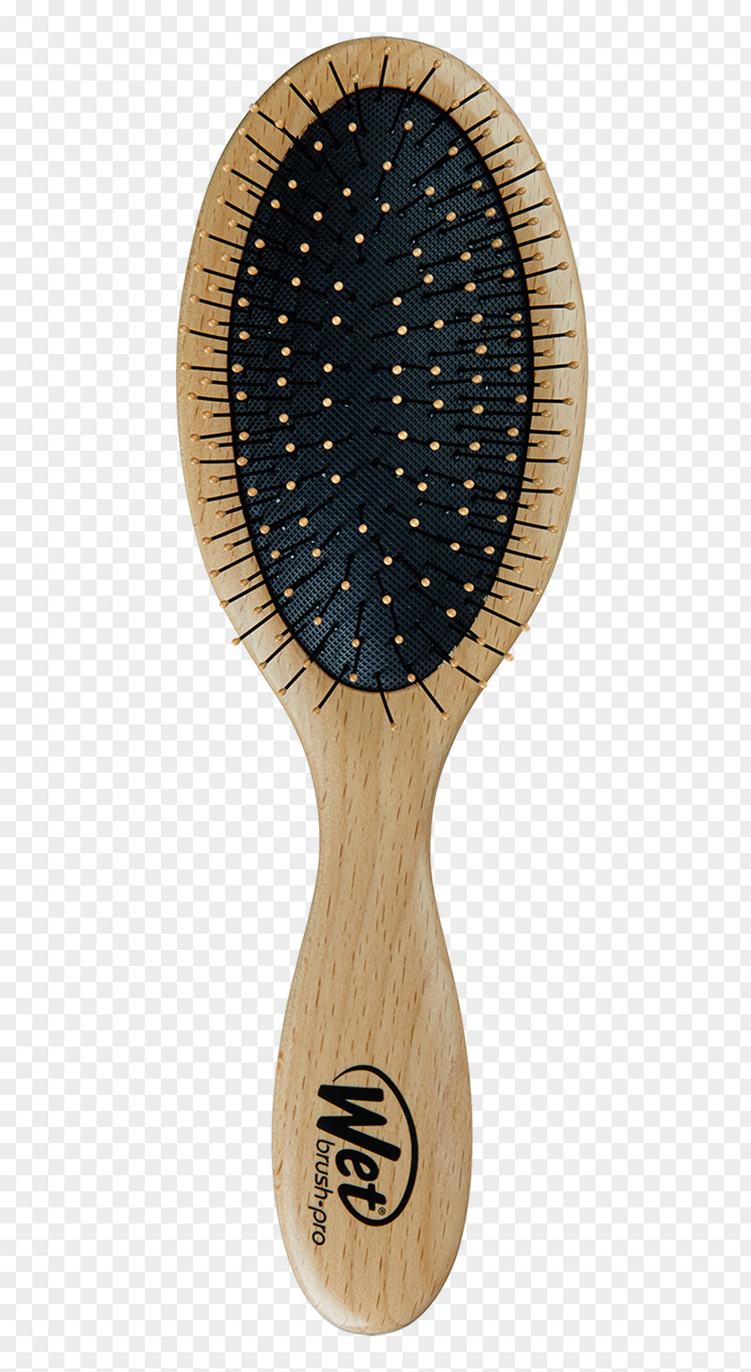 Hair Hairbrush Long Canities PNG