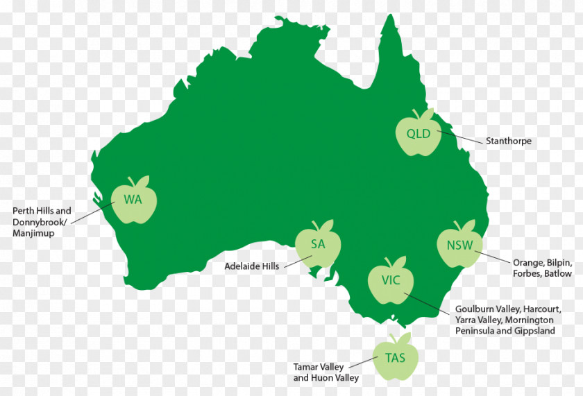 Australia Vector Graphics Map Illustration Cartography PNG