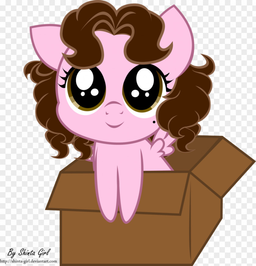 Carnivora Ear Horse PNG , girl in box clipart PNG