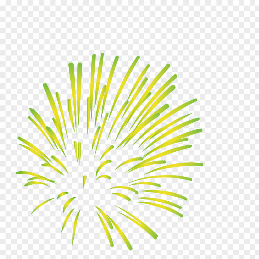 Green Fireworks Computer File PNG