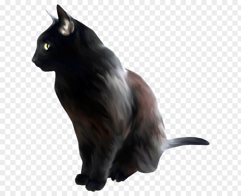 Kitten Black Cat Bombay Nebelung Clip Art PNG