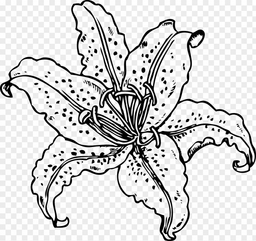 MEXICAN FLOWERS Tiger Lily Coloring Book Flower Easter Clip Art PNG