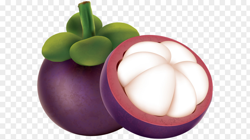 Purple Mangosteen Fruit Clip Art PNG