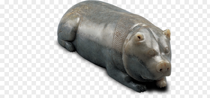 Chinese Jade Terrestrial Animal Snout PNG