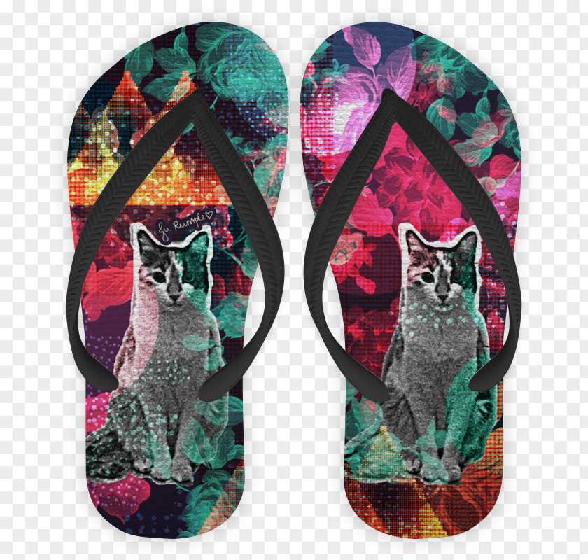 Cosmic Owl Shoe PNG