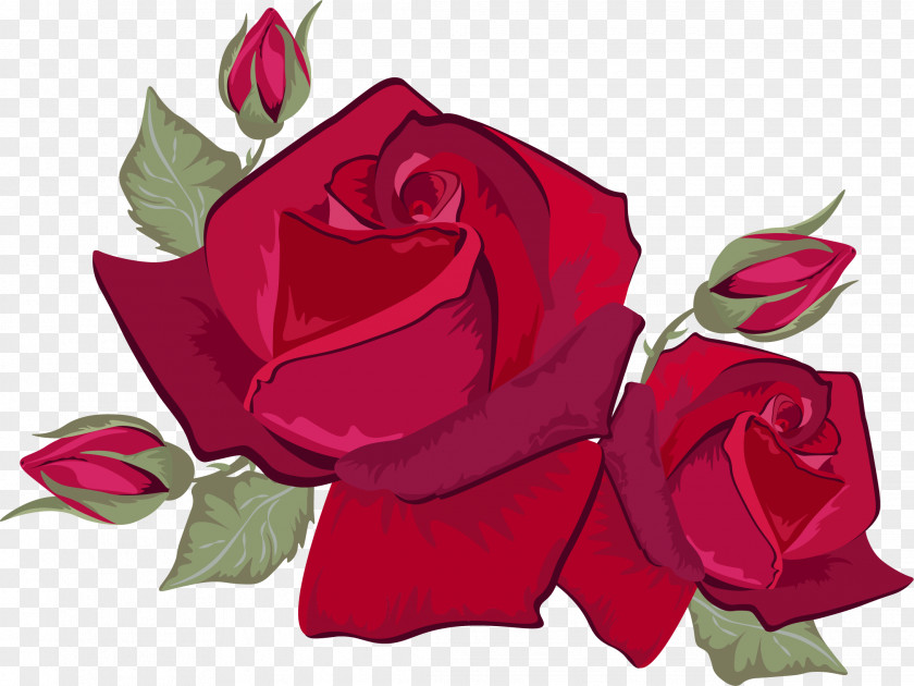 Wine Red Roses Rose Stock Photography Flower PNG