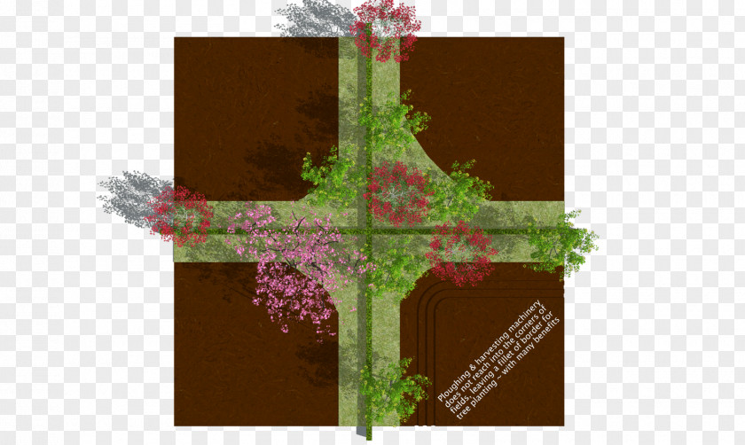 Design Floral Religion Plant Stem PNG