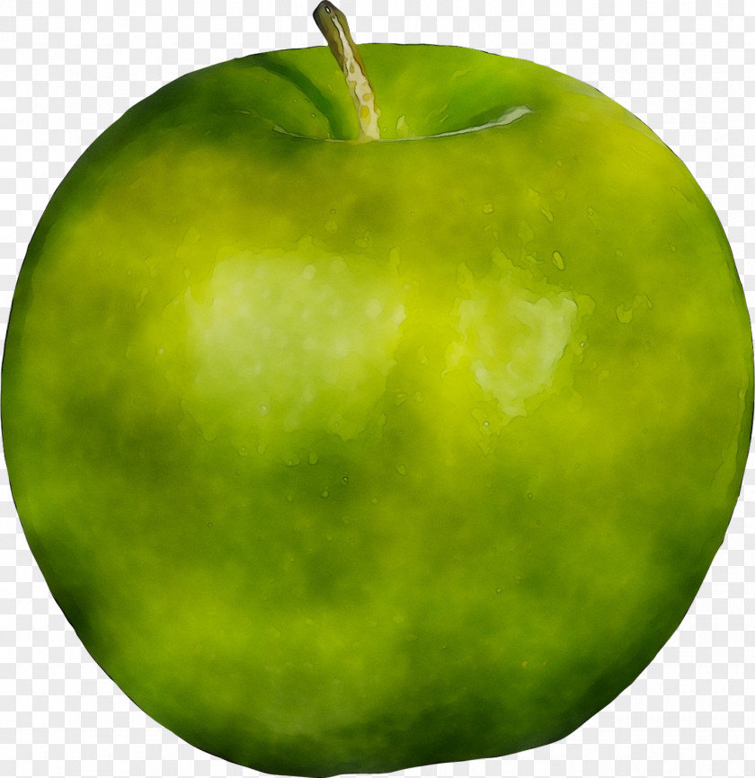 Granny Smith PNG