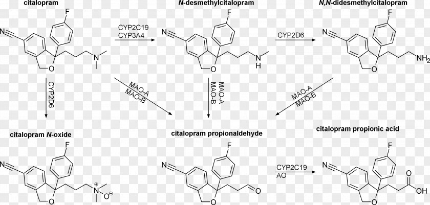 Metabolism Tetrahydrofuran Car Technology White PNG