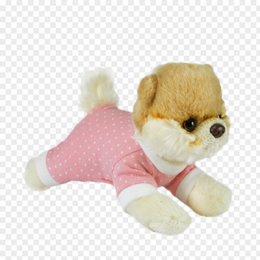 Puppy Stuffed Animals & Cuddly Toys Pomeranian Boo Gund PNG