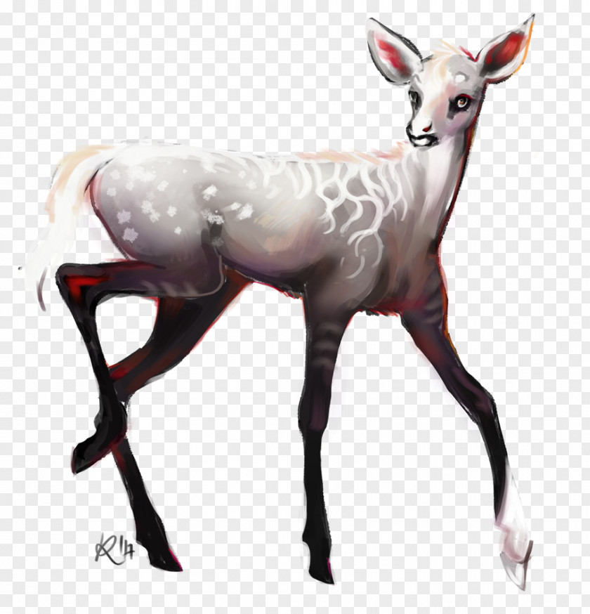 Reindeer Antelope Terrestrial Animal Wildlife PNG
