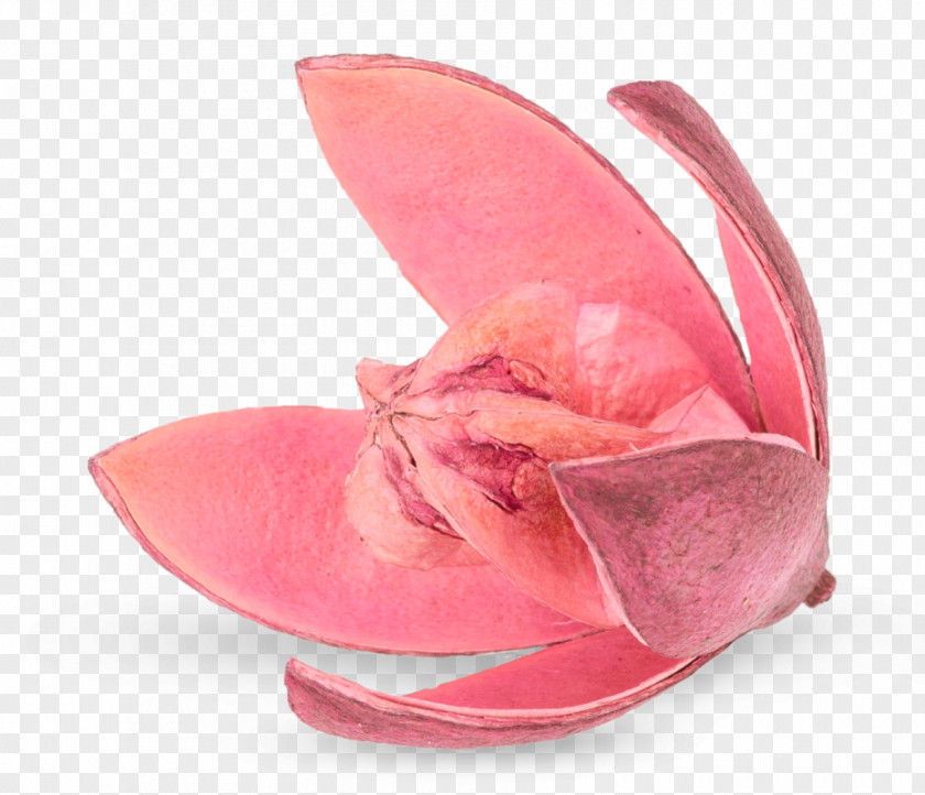 Sandal Pink M Shoe PNG