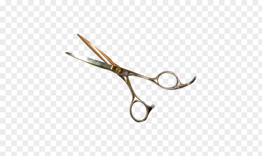 Scissors Hair Straight Razor Cosmetologist Model PNG