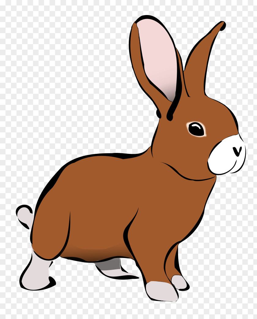 ANIMAL CARTOON Rabbit Easter Bunny Clip Art PNG
