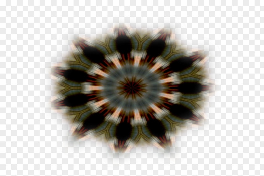 Circle Symmetry Brown Pattern PNG