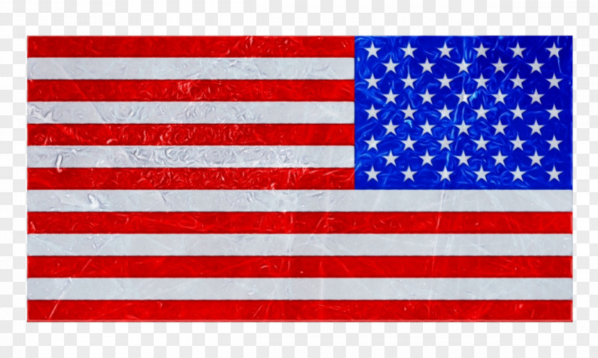 Flag Of The United States Palisades Center Apollo 11 Space PNG