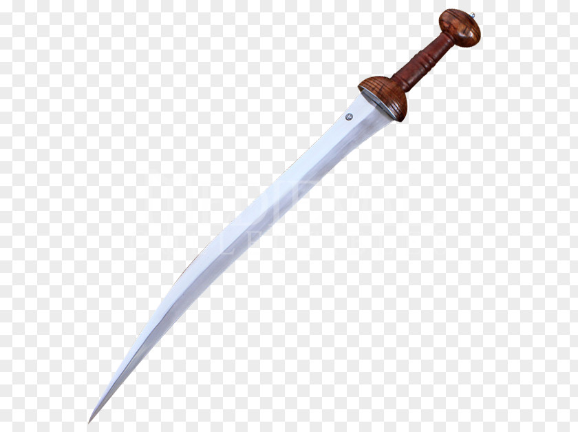 Gladiator Sword File Gladius Weapon Scabbard PNG
