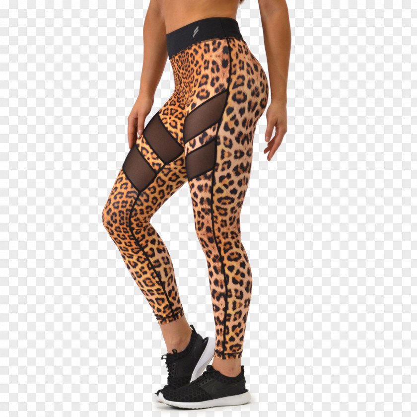 Leopard Leggings Tights Animal Print Pants PNG