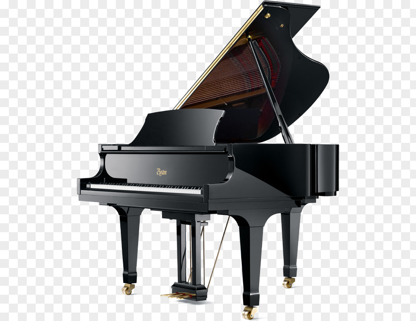 Acoustic Performance Steinway Hall & Sons Grand Piano ボストンピアノ PNG