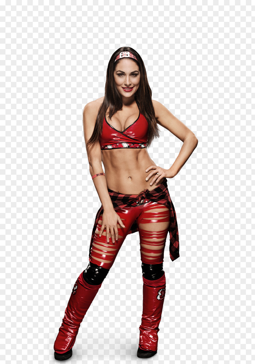 Brie Bella WWE Divas Championship Total Women In The Twins PNG in Twins, wwe clipart PNG