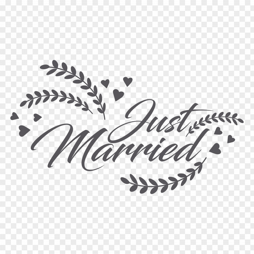 Just Married Manifestation Form Our Lord Jesus Christ-Volume 1: A Memoir Of Visions, Dreams, Revelations. Signs, Wonders, Miracles, Happenings Logo Calligraphy Font Line PNG