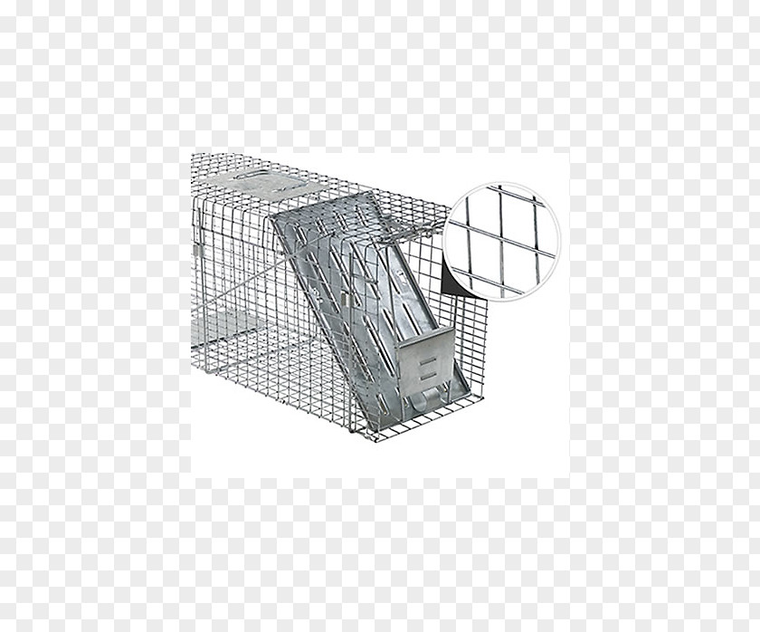 Mouse Trap Raccoon Trapping Cage Squirrel PNG