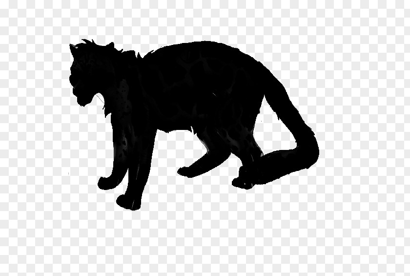 Black Cat Dog Mammal Canidae PNG