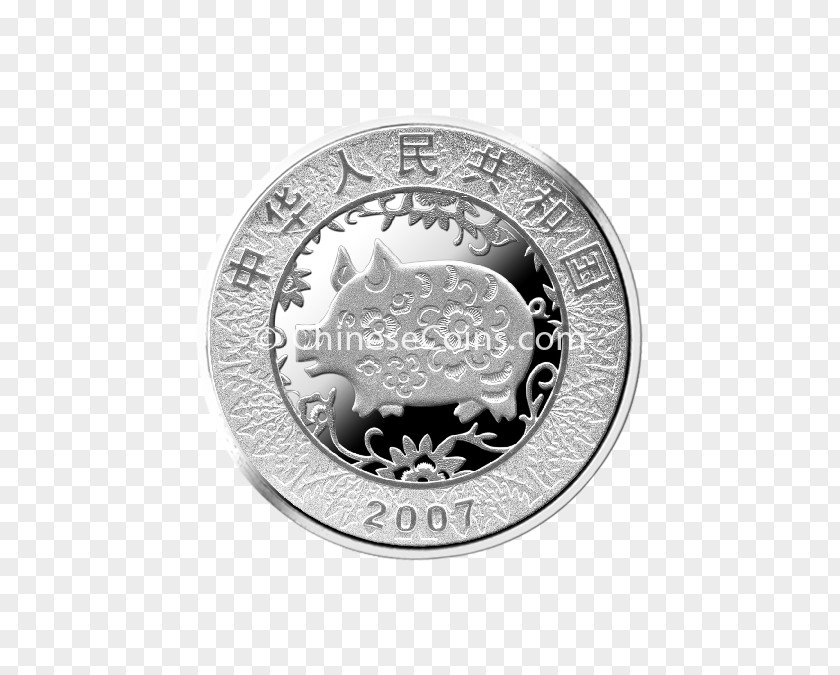 Coin Silver Nickel PNG