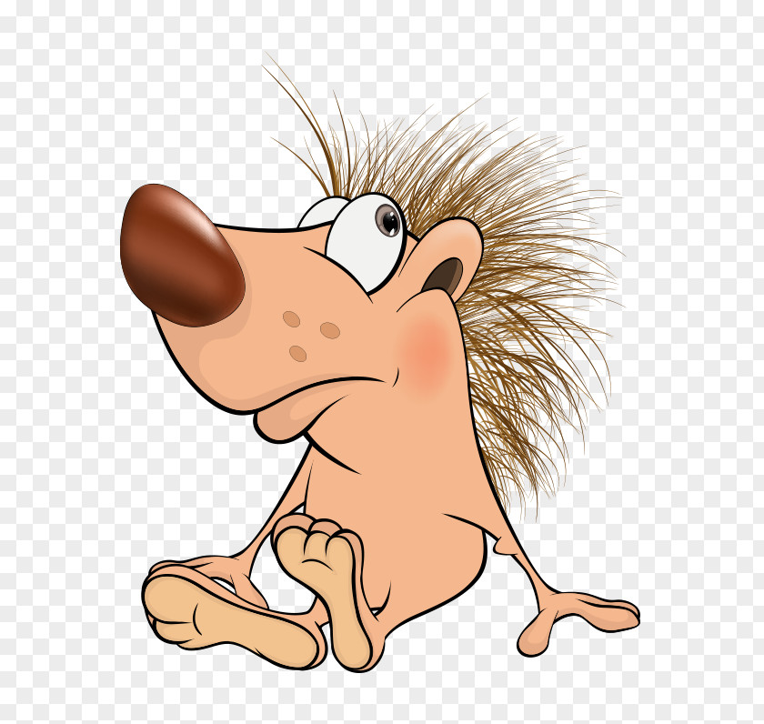 European Hedgehog U0401u0436u0438u043a PNG u0401u0436u0438u043a , consideration clipart PNG