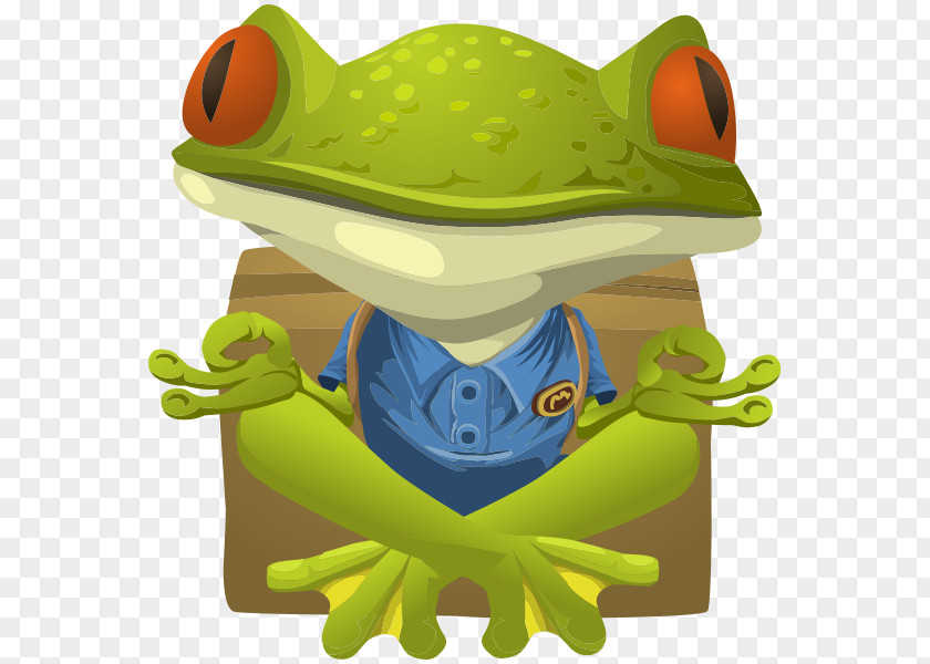 Frog Yoga Lithobates Clamitans Meditation Clip Art PNG