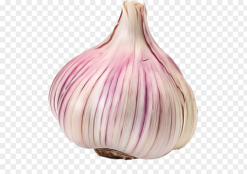 Garlic Red Onion Shallot Purple PNG