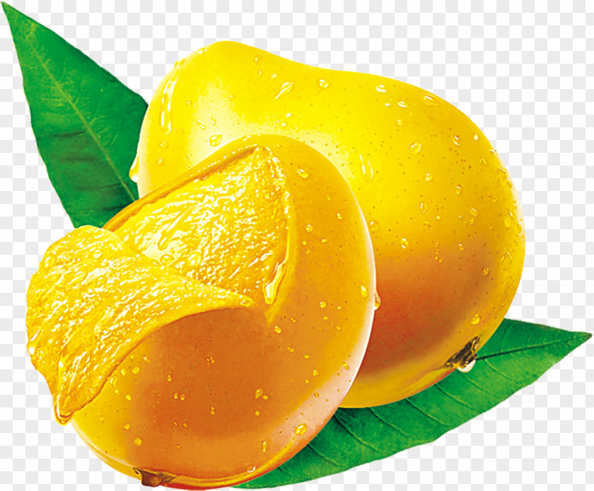 Green Mango On Leaves Fresca Citron Lemon Fruit Tangelo PNG