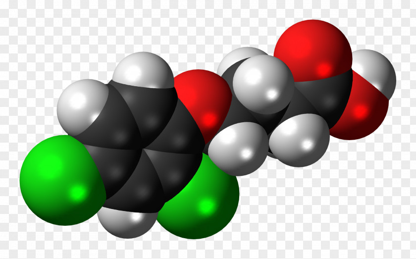 Herbicide Triclopyr 2,4-Dichlorophenoxyacetic Acid Information 2,4-DB PNG