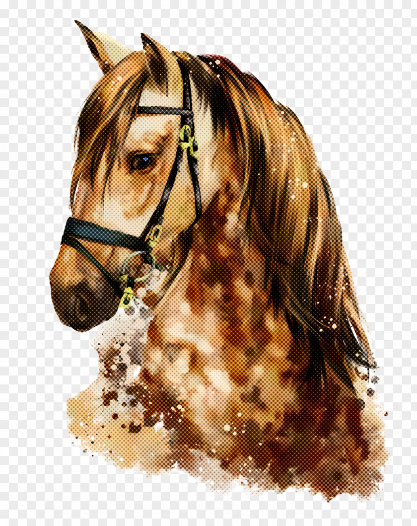 Horse Hair Mane Sorrel Stallion PNG