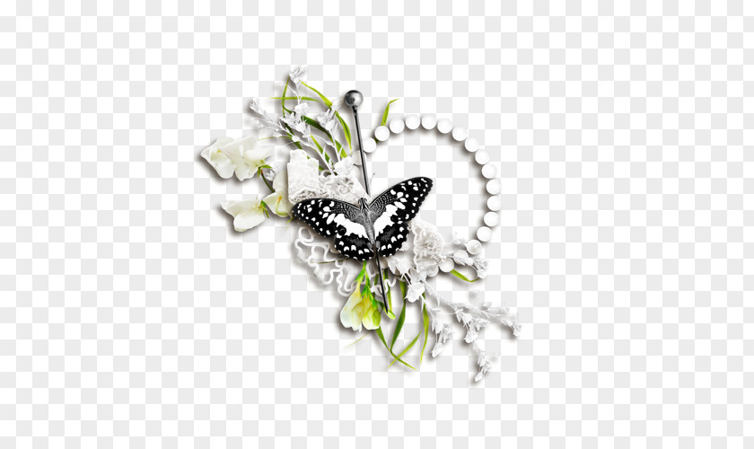 Butterfly Image Drawing Cartoon PNG