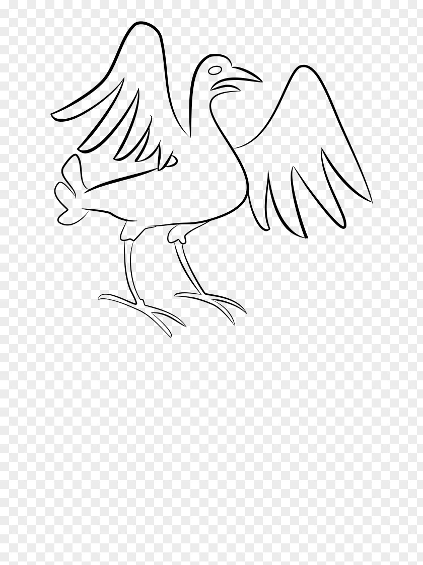 Chicken Bird Feather Duck Clip Art PNG
