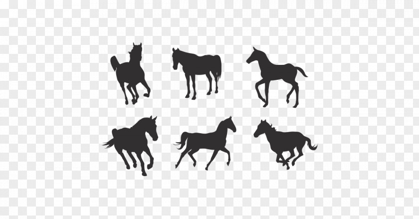 Horse Silhouette Clip Art PNG