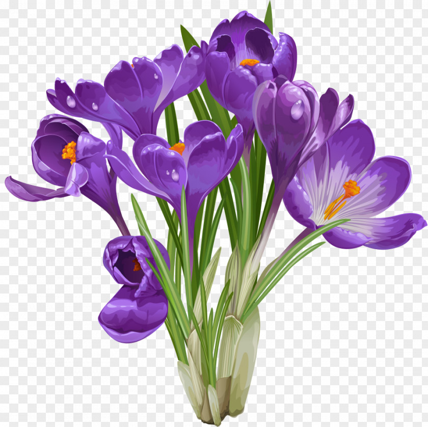 Flowerpot Clip Art Crocus PNG