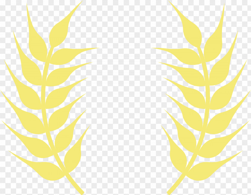 Grasses Pattern Mathematics Leaf Yellow PNG