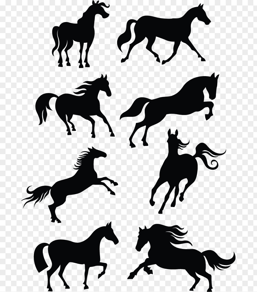 Lip Horse Vector Graphics Clip Art Stock Illustration PNG