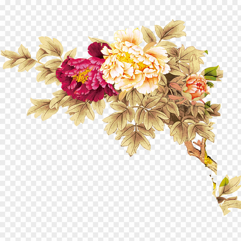 Peony Moutan Floral Design Flower Download PNG