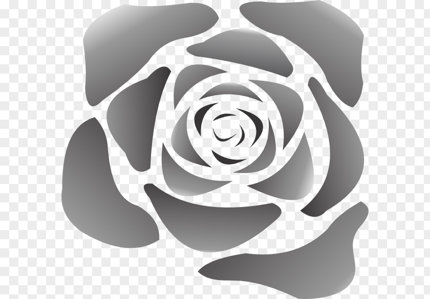 White Rose Clip Art PNG